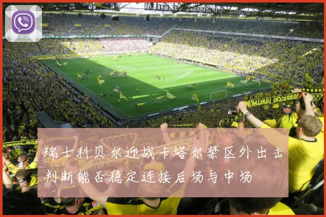 瑞士科贝尔迎战卡塔尔禁区外出击判断能否稳定连接后场与中场